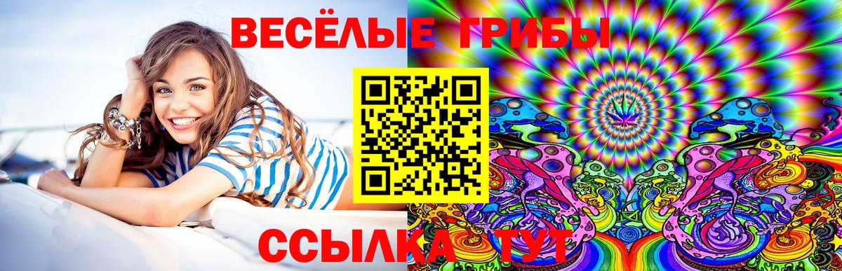 Галлюциногенные грибы Magic Shrooms  Вход с VPN  Бугуруслан 