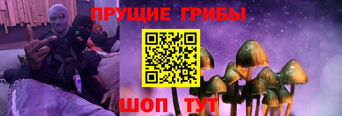 Галлюциногенные грибы прущие грибы Бугуруслан